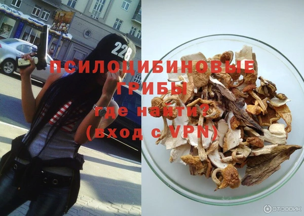 скорость Белокуриха